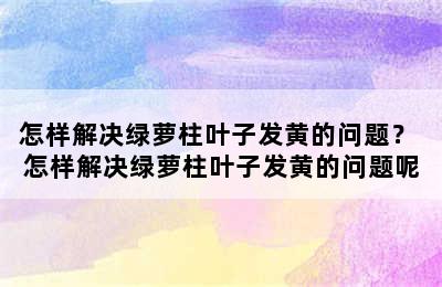 怎样解决绿萝柱叶子发黄的问题？ 怎样解决绿萝柱叶子发黄的问题呢